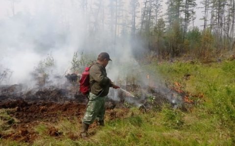 В Якутии локализовали почти 40 пожаров
