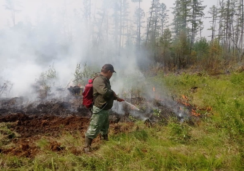 Спасатели «кардинально переломили» ситуацию с лесными пожарами в Якутии