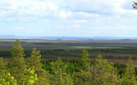 В России упростили получение статуса резидента Арктической зоны