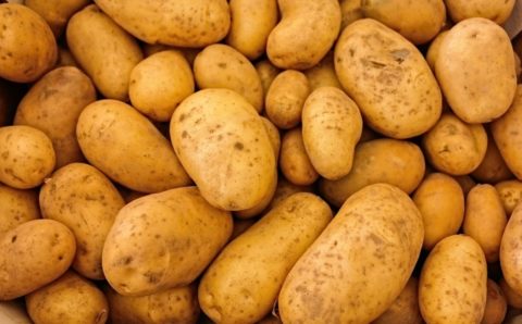 Сбор картофеля и овощей в Тамбовской области превысит объемы прошлого года