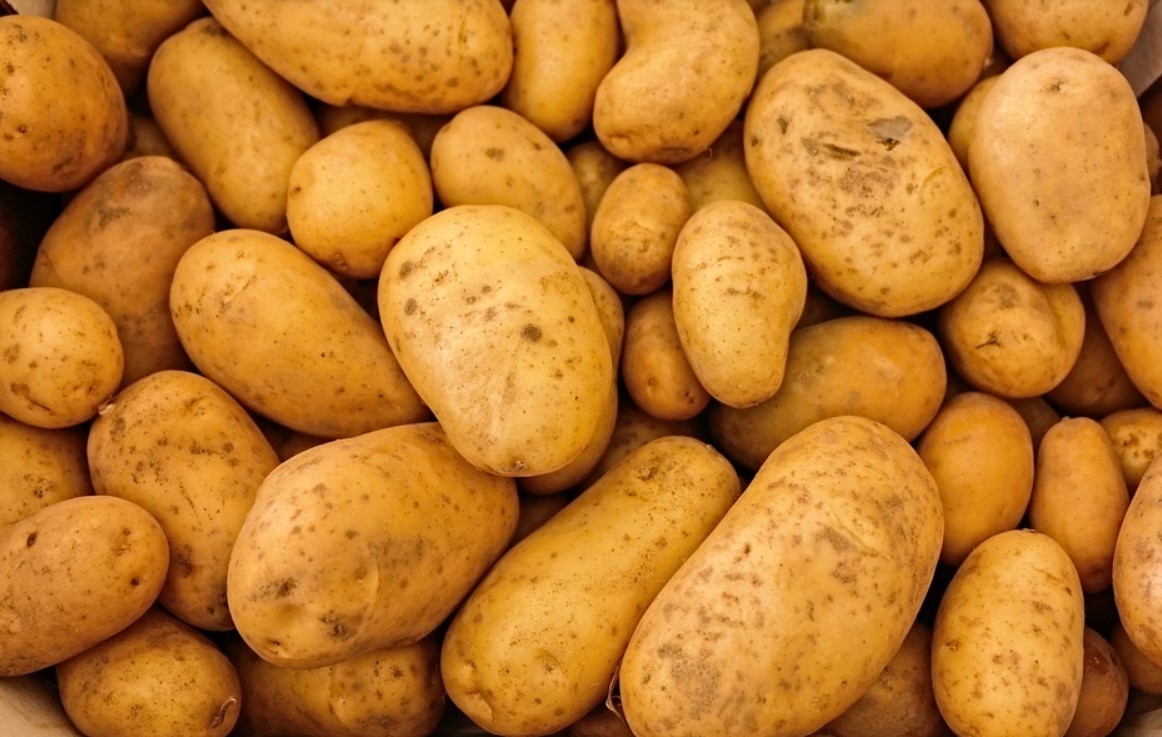Сбор картофеля и овощей в Тамбовской области превысит объемы прошлого года