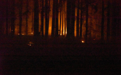 Вертолёт Минобороны поможет Марий Эл с тушением лесного пожара