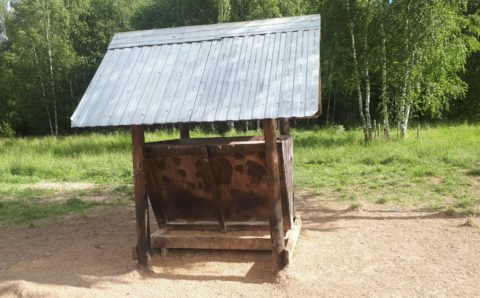 Охотничьи угодья Ярославской области обустроили подкормочные площадки