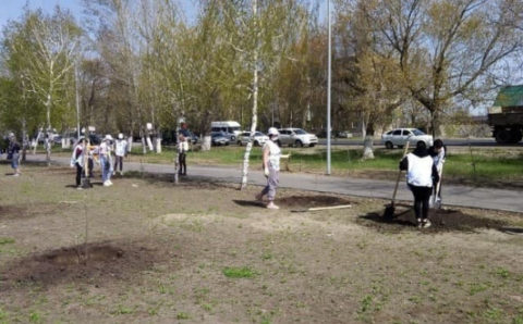 Жители Саратовской области приняли участие в акции «Мемориальные деревья»