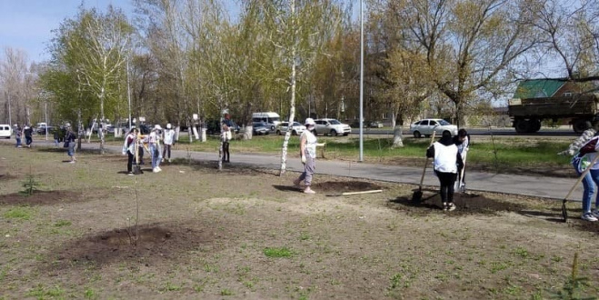 Жители Саратовской области приняли участие в акции «Мемориальные деревья»