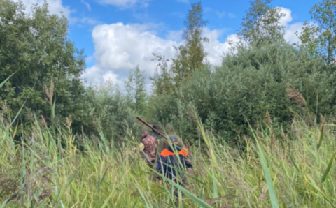 Под Великим Новгородом четвёртый день ищут заплутавших в лесу старушек