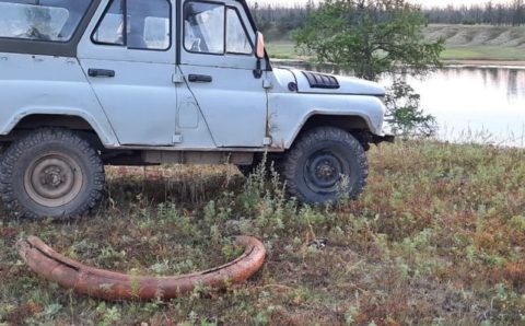 Бивень мамонта нашли в якутском селе
