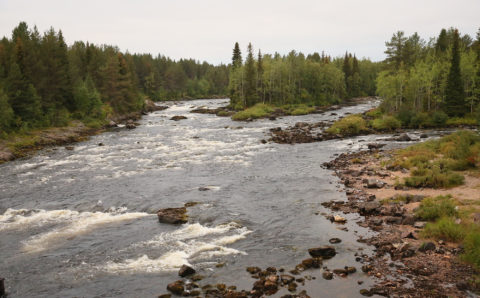 В Оленегорском районе Мурманской области запретили охоту