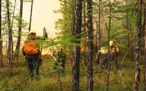 Режим ЧС отменили в Киренском районе Приангарья