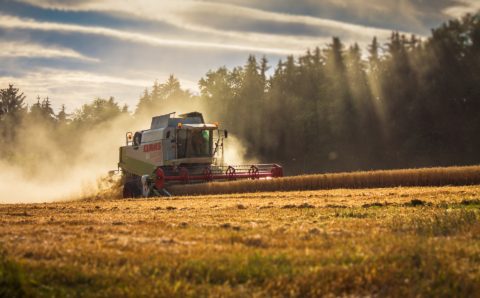 В Тамбовской области аграрии собрали половину урожая