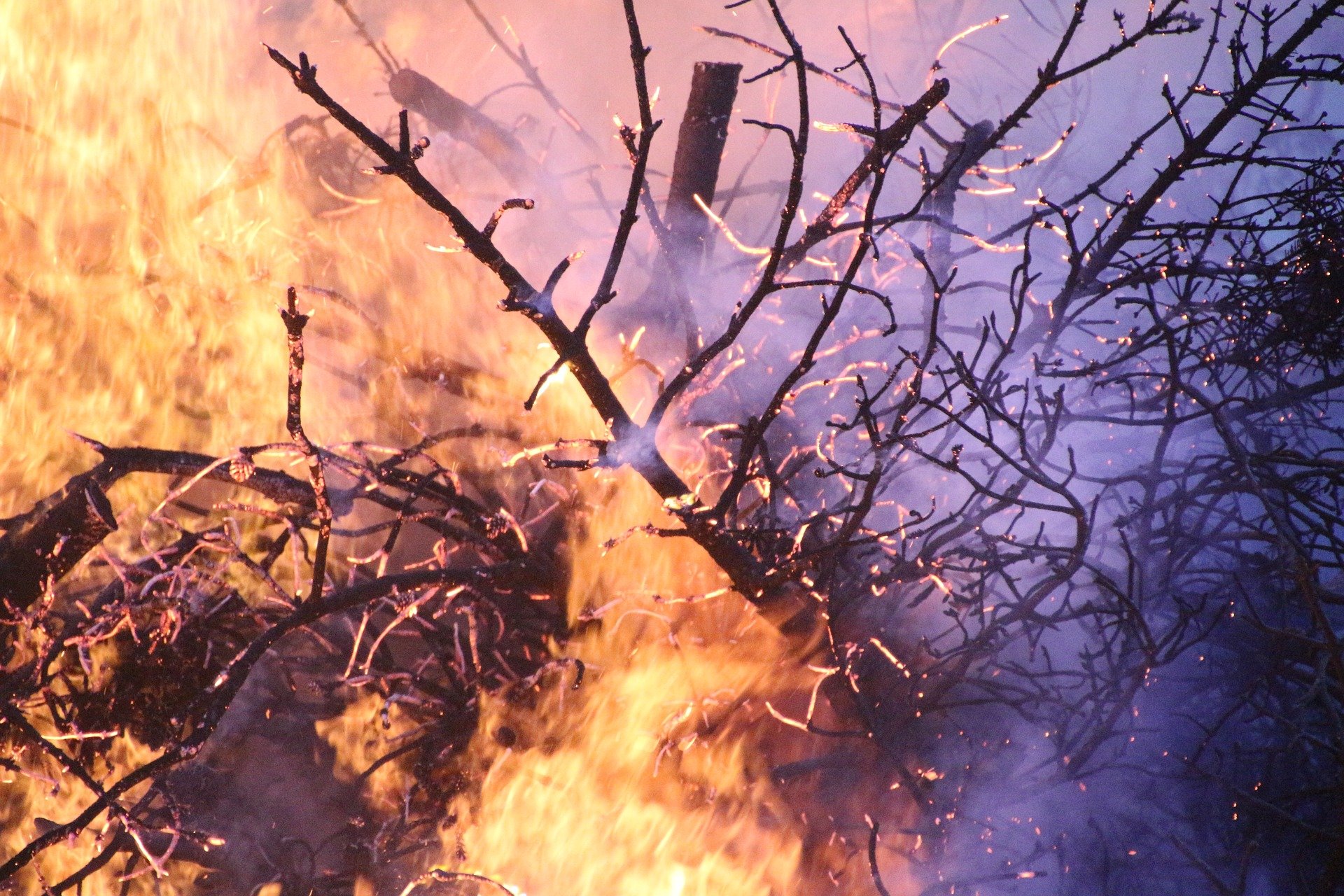 Дождь отказался помочь огнеборцам с тушением лесного пожара возле Якутска