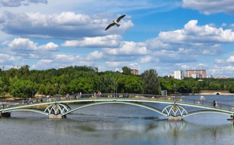 В Москве создали виртуальный тур по парковым прудам