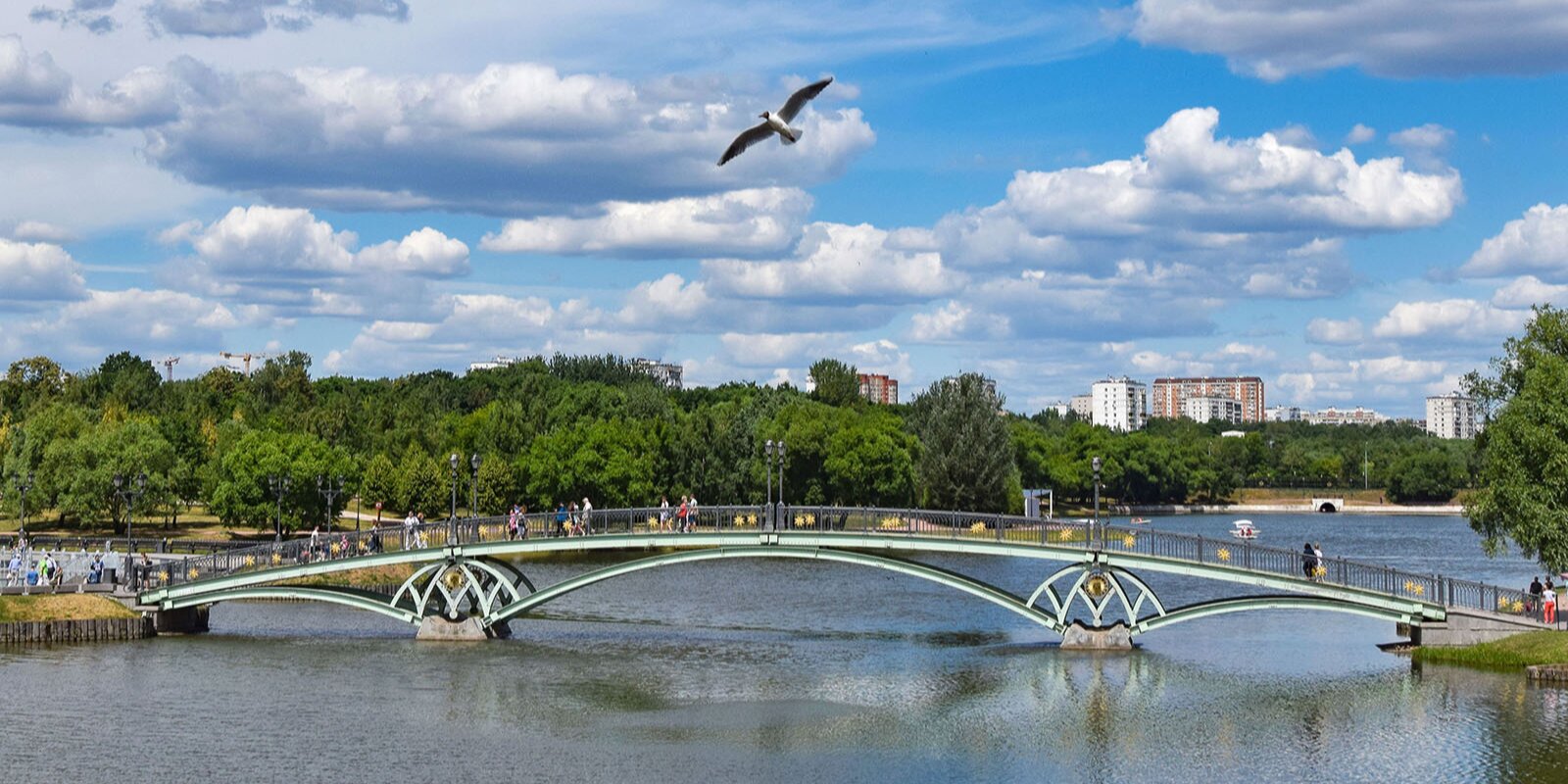 В Москве создали виртуальный тур по парковым прудам