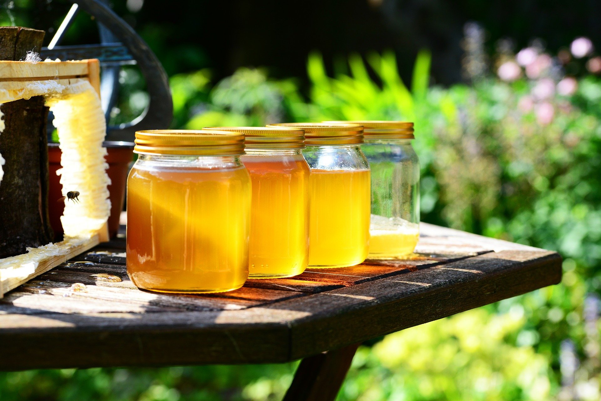 Фестиваль мёда в деревне Анучино пройдёт 28 августа