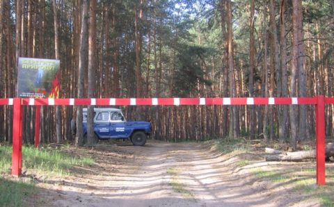Жителям Тамбовской области ограничили время пребывания в лесах