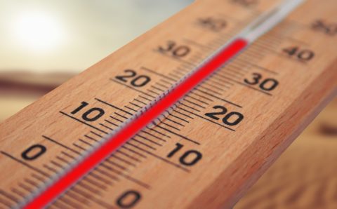 Оранжевый уровень погодной опасности объявили в Москве