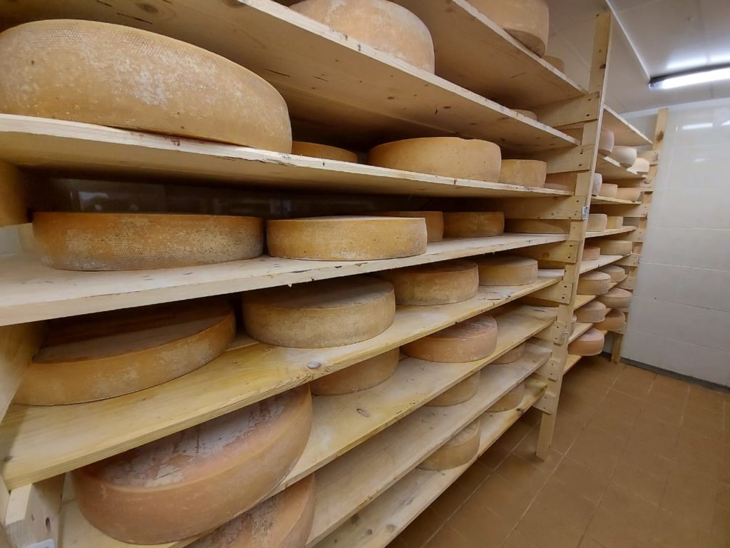 Ярославсий сыр оценили на европейском международном конкурсе