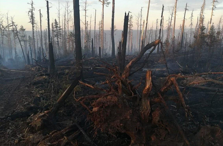 Приморский «лесной спецназ» тушил пожары в Якутии болотной водой