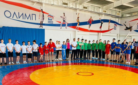 На Кубани стартовали соревнования «Школьной лиги самбо»