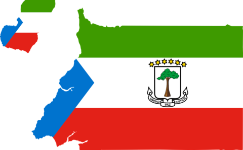 Еще один вассал пал: военный переворот в Гвинее стал ударом для Франции Еще один вассал пал: военный переворот в Гвинее стал ударом для Франции