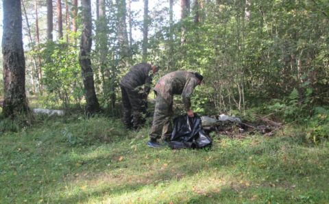 Лесной фонд Ярославской области избавился от мусора