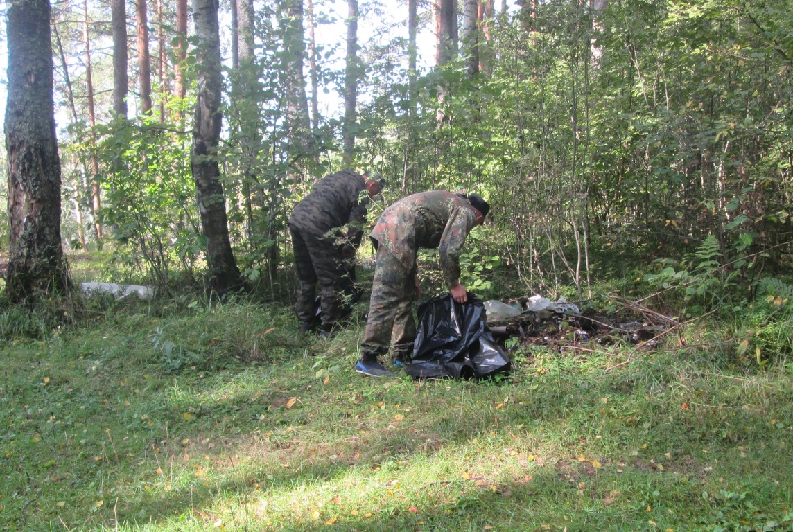 Лесной фонд Ярославской области избавился от мусора