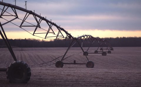 Тамбовские аграрии повысят плодородие земель