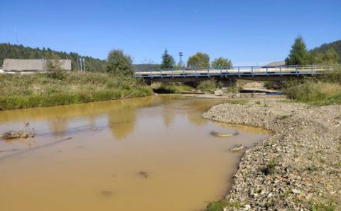 Красноярская река Кувай окрасилась в жёлтый из-за золотодобытчиков
