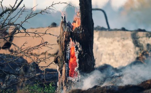Особый противопожарный режим объявят в Амурской области