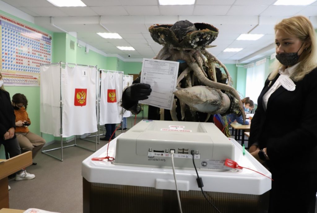 Дейви Джонс проголосовал на выборах на Камчатке