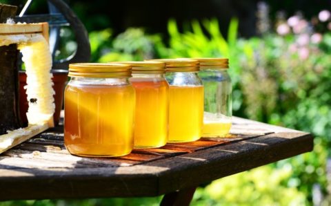 Новгородский производитель меда вышел на китайский рынок