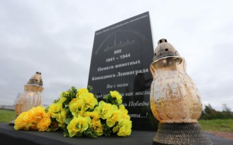 В Петербурге установят памятник животным блокадного Ленинграда