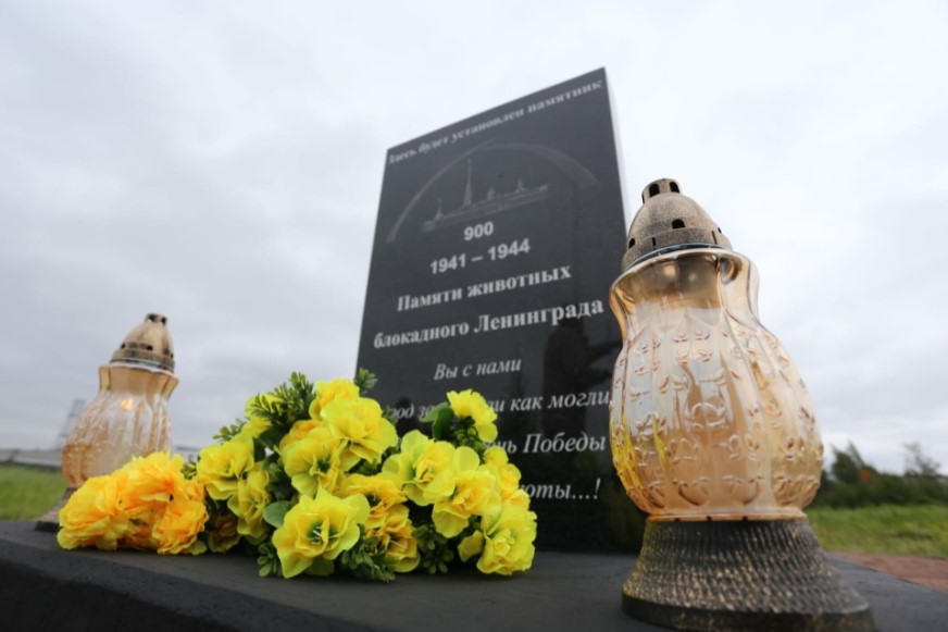 В Петербурге установят памятник животным блокадного Ленинграда
