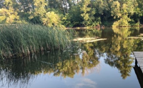 СК возбудил дело о сливе нефтепродуктов в реку в Кировской области