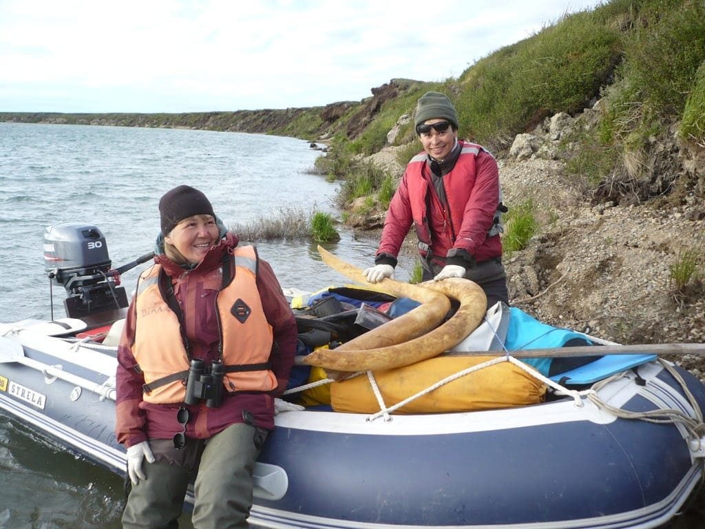 Останки самого молодого мамонта обнаружили на Чукотке