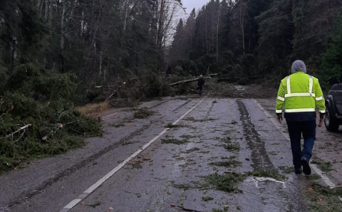 Ленинградская область восстановилась после урагана