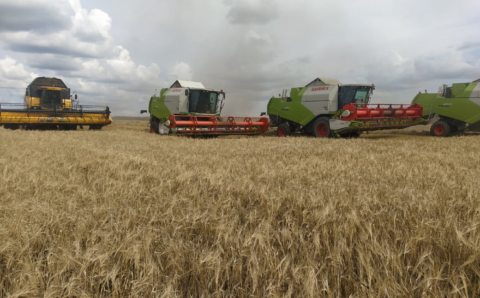 Ленинградская область завершила уборку зерновых культур