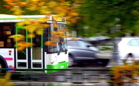 Межмуниципальные автобусы Ярославской области обновят расписание