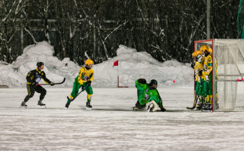 Мурманские хоккейные корты подготовят к предстоящему зимнему сезону