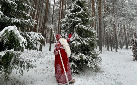 К вотчине карельского Деда Мороза и Снегурочки запустили поезда из Москвы