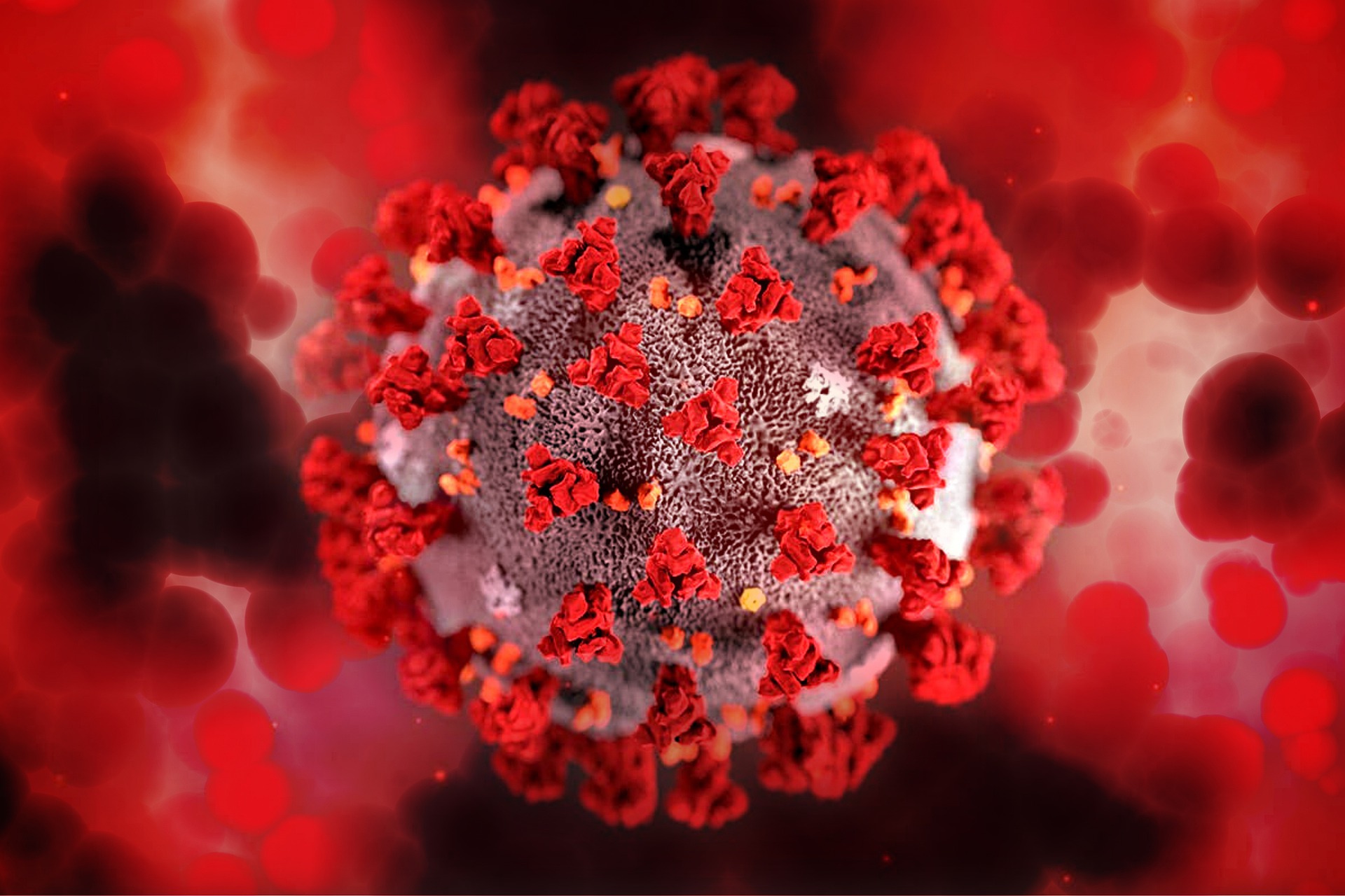 Россия обновила антирекорд по числу жертв коронавируса за сутки