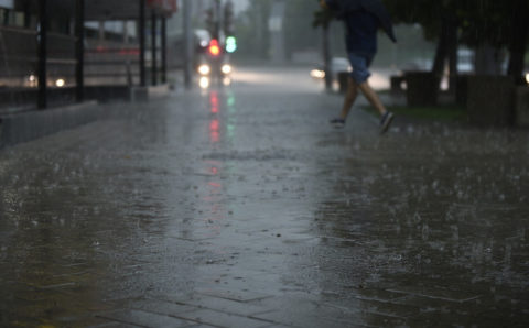 «Желтый» уровень погодной опасности объявили в Московской области