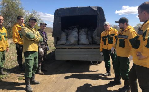 Красноярские активисты очистили более 500 километров береговых линий