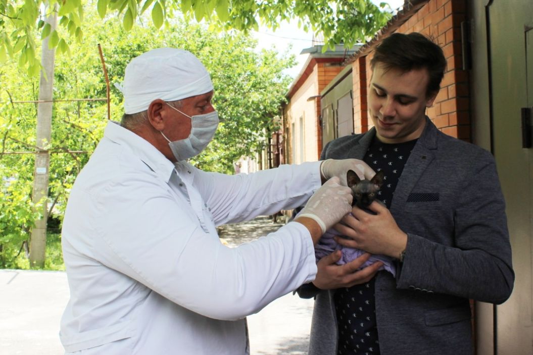Домашних животных привьют от бешенства в Ростове-на-Дону
