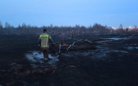 МЧС назвало вероятную причину возгорания торфяников в Екатеринбурге