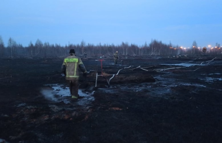 Пожарные потушили торфяник, из-за которого Екатеринбург накрыло смогом