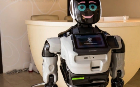 Робот начнет заселять туристов в один из отелей Грозного