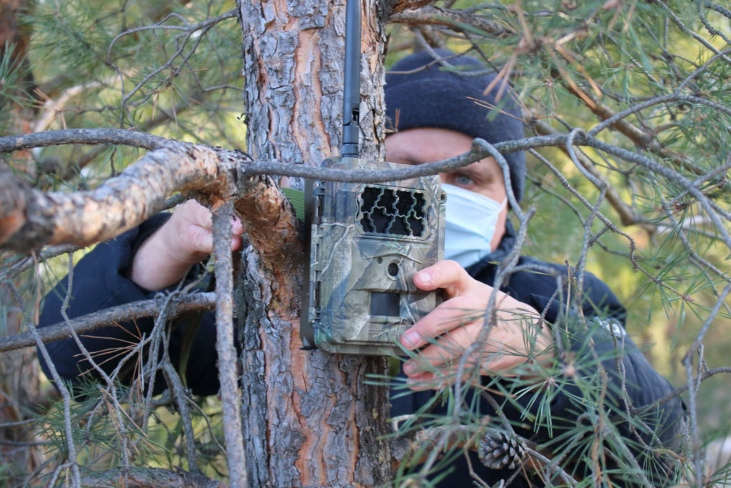 Ростовская область усилила охрану лесного фонда