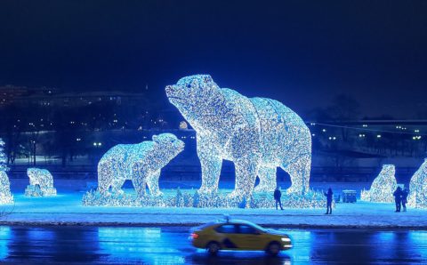 Световая инсталляция в форме медведей украсит Москву