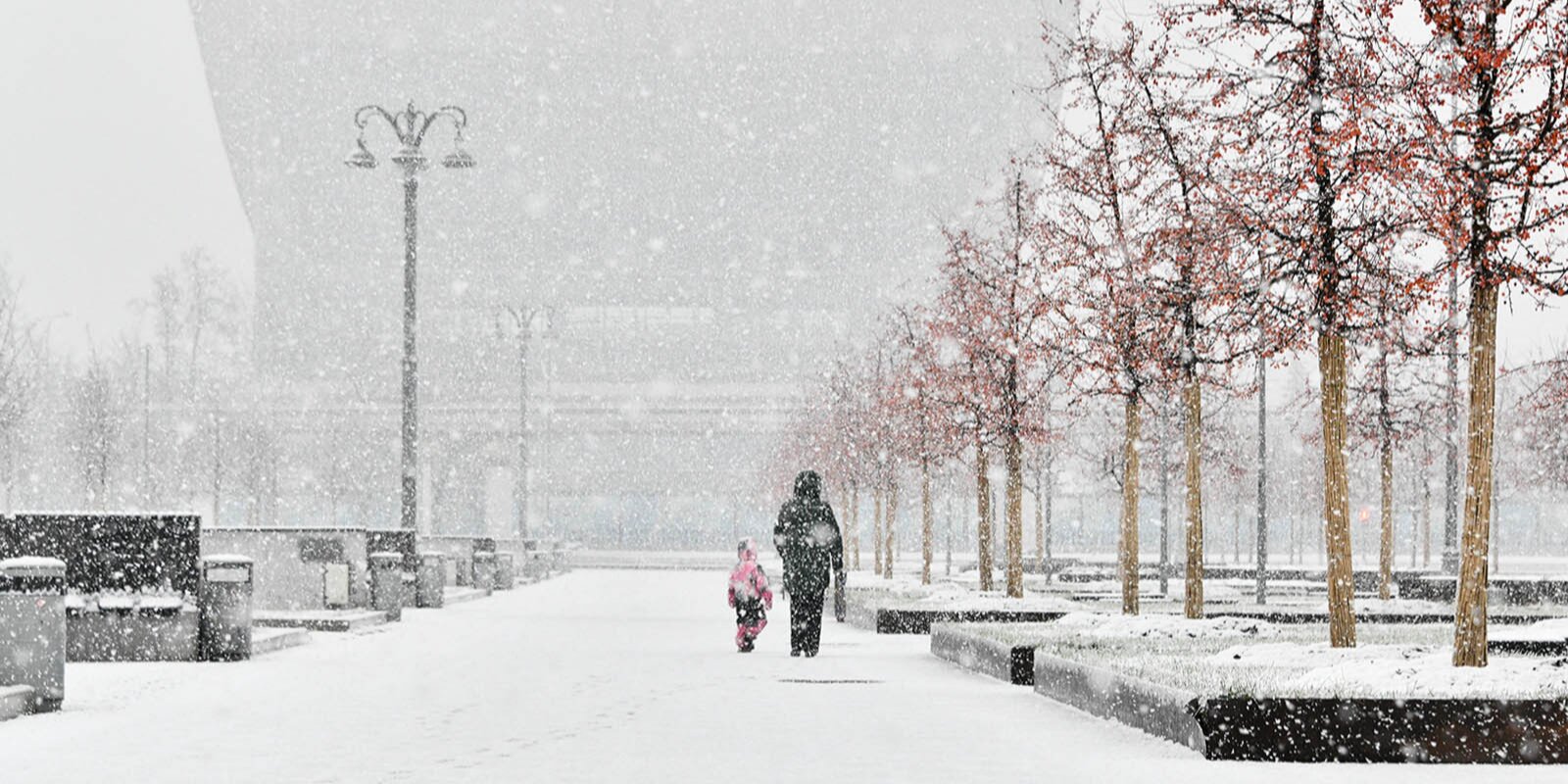 Москву накроет сильный снег и метель